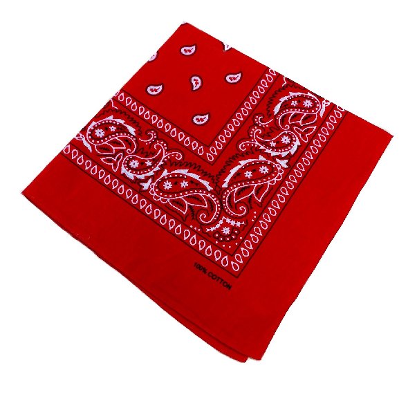 BANDANA-Red Paisley